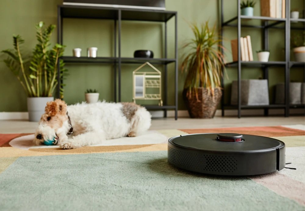 smart vacuum robot cleaner